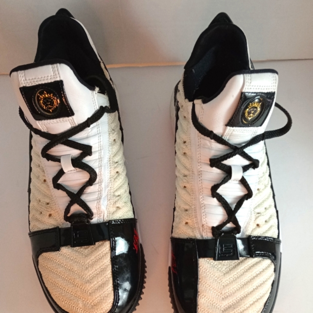 LeBron XVI SB 'Remix'